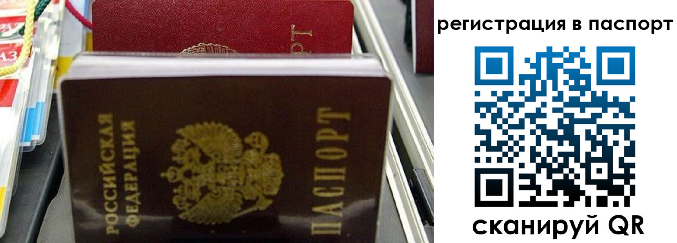 прописка для школы в Белогорске